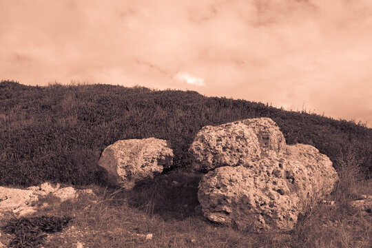 paesaggio desertico