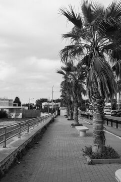 marina di pulsano