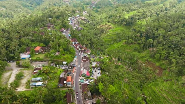 Ubud, Bali, local road with traffic passing through a small village with houses surrounded by dense green tropical palm forests and traditional rice terraces on a sunny day. Aerial view drone flight