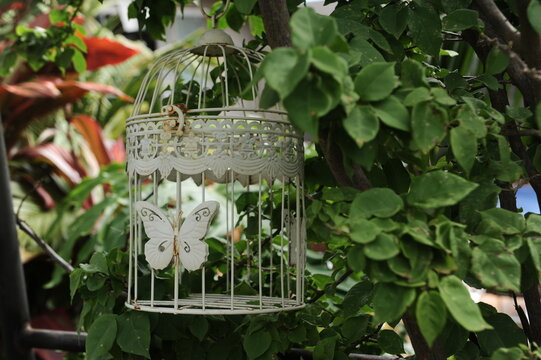 decora&ccedil;&atilde;o borboleta no jardim com plantas 