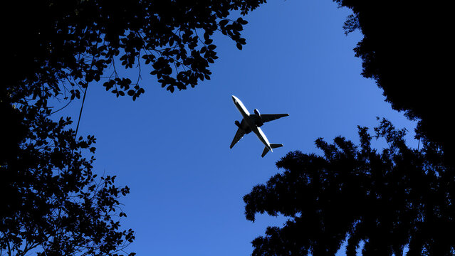 空の旅