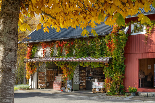 Rural hospitality is expressed within the Telemark countryside by a local food shop beneath yellow leaves and climbing vines, creating a Norwegian setting for commerce and regional culture stories.