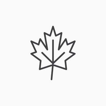 Maple leaf icon flat outline in black