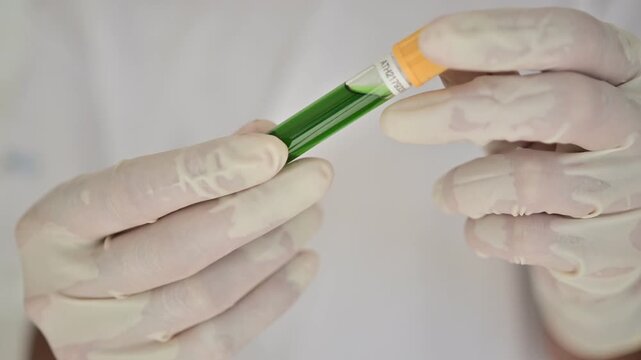 Spirulina extract, a concentrated blue-green botanical and cyanobacterial extract containing phycocyanin, chlorophyll, proteins, pigments, minerals, and other naturally occurring bioactive compounds