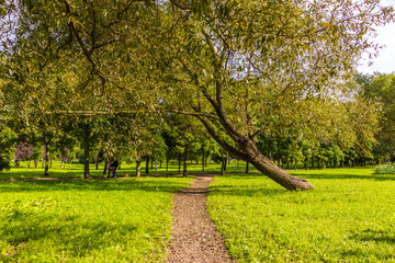 Obraz premium Sunlit dirt path runs between mature leafy trees and open green lawns, creating a tranquil pedestrian route through a bright park landscape
