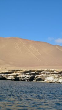 sand dunes on the beach