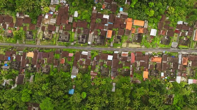 Aerial top down Bali village with traditional houses with red tiled roofs surrounded by lush tropical vegetation and coconut trees, an asphalt road separating the residential buildings. Travel to Ubud