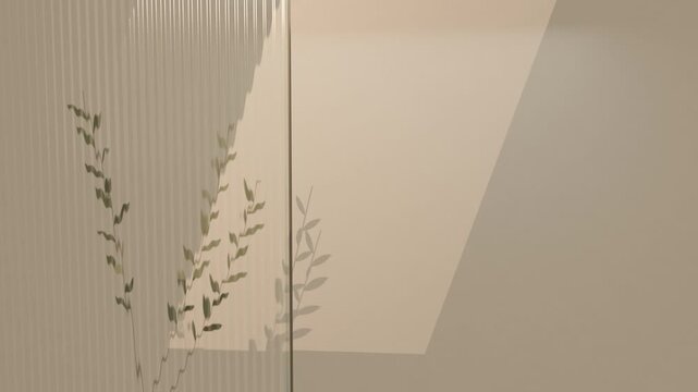 Plant shadows on glass and wall at dawn. Looped animation