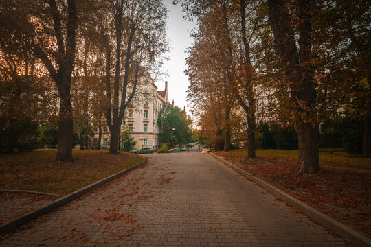 autumn in the park