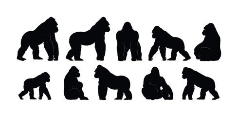 Fototapeta premium Collection of gorilla silhouettes in various poses and movements