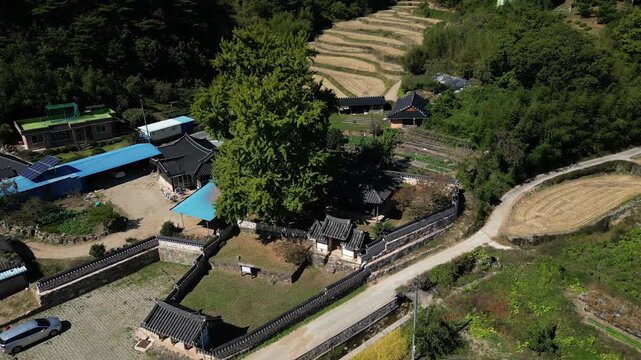 학포당 화순 학포당 솟을대문 전통 한옥 기와집 돌담 담장 고택 역사 유산 조선시대 서재 양팽손 문화재 건축 전통건축 한국전통 지방기념물 풍경 야외 조용함 감성 역사기행