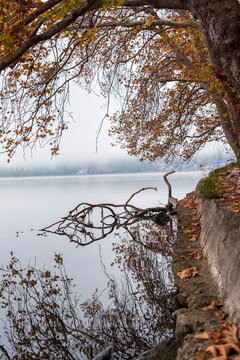 autumn in the park