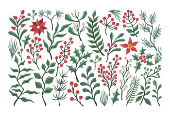 Obraz premium Holly Branches And Berries Winter Botanical Set