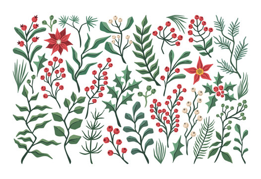 Holly Branches And Berries Winter Botanical Set