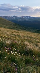 Fototapeta premium Meadow with wildflowers and mountains in the background at sunset