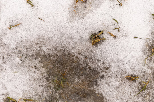 Melting snow on dirty ground with dead grass