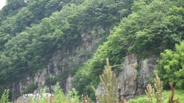 조선시대 선비 한복 갓 전통 역사 정자 누정 유학자 양반 유학 학자 뒷모습 사대부 인물 남성 도포 자연 경치 산세 수목 숲 힐링 풍류 사색 풍경 한옥 한국 문화재 유적지