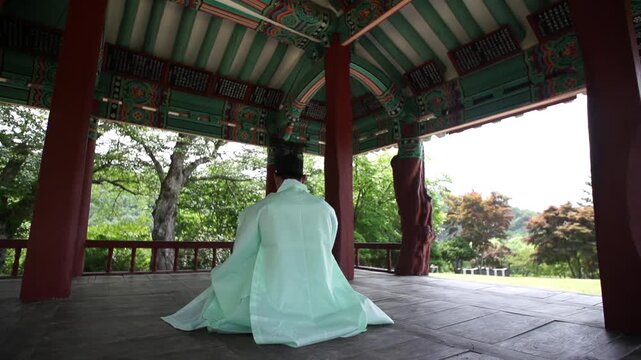 조선시대 선비 한복 갓 전통 역사 정자 누정 유학자 양반 유학 학자 뒷모습 사대부 인물 남성 도포 자연 경치 산세 수목 숲 힐링 풍류 사색 풍경 한옥 한국 문화재 유적지
