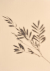 Obraz premium Gray blurred shadow of a branch on a beige background