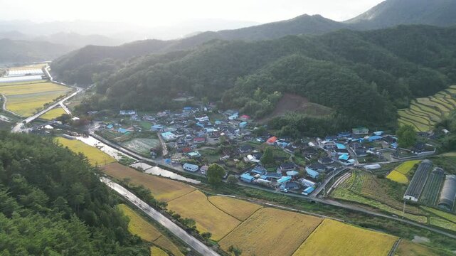 가을 농촌 들녘 시골 논 황금들녘 황금빛 벼 곡식 수확 결실 계절 풍경 자연 마을 산 산세 농가 농지 농경지 한국 시골풍경 지방 지방도시 경치 전원 전원풍경