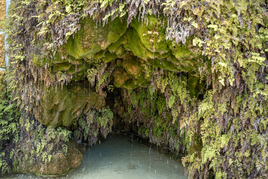 Cave entrance with dripping water and ferns in Moura Portugal