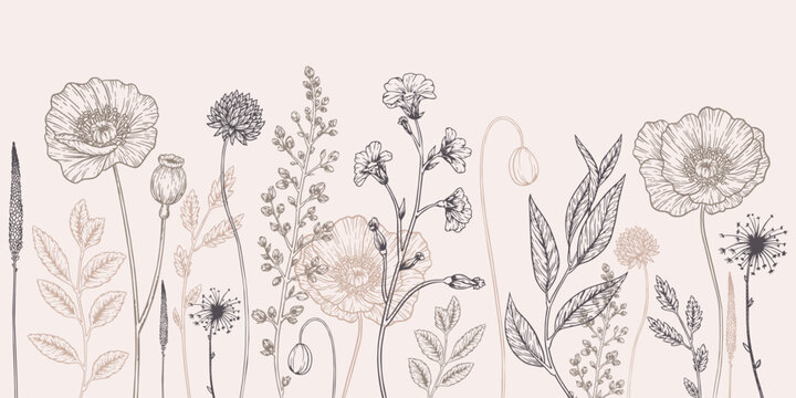 Botanical background with wildflowers. Vector illustration for wall decoration or wedding. Hand drawn line herb; elegant leaves for invitation save the date card