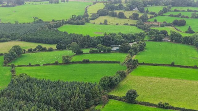 Drone shot over lush green agricultural pastures surrounded by trees and hedgerows in rural Irish countryside