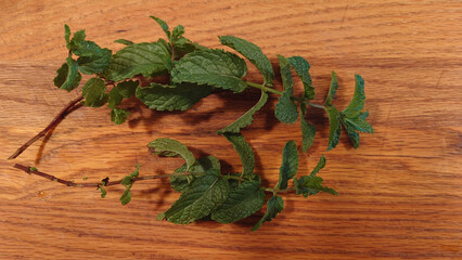 two sprigs of fresh mint from the garden for flavor, garnish and traditional medicinal use © Richard Marx