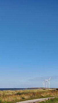 Frederikshavn, Denmark &ndash; August 26, 2026: View from Palm Beach in Frederikshavn showing a walking path, grass area, and four wind turbines in the background on a sunny day