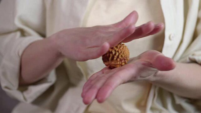 Person rotating bodhi seed in hands for meditation. Woman's hands gently rotating a textured bodhi seed, a spiritual practice for meditation, prayer, and achieving a state of calmness, mindfulness