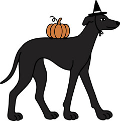 Obraz premium Black dog with pumpkin and witch hat for halloween