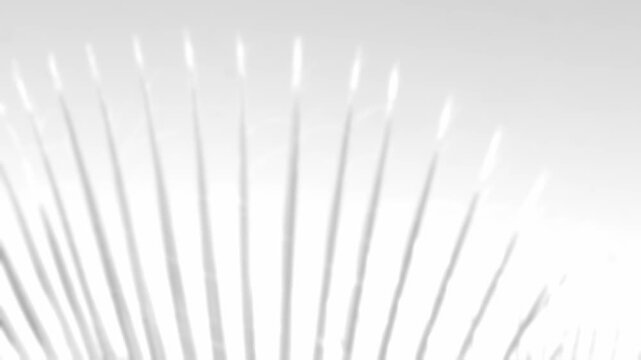 grey Empty Blurred shadow from Tropical palm leaves on light wall background, Minimal abstract background for product presentation, Summer tropical beach concept, defocused natural blank for designer