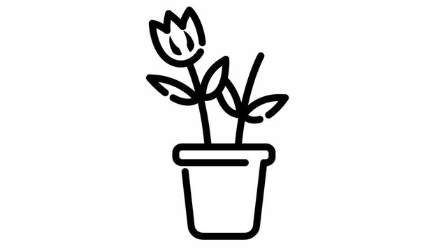 blooming tulips video animation representative nature plant flower agriculture farming.