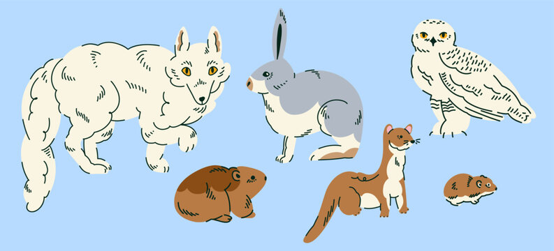Arctic wildlife collection featuring polar fox, hare, snowy owl, Ermine, Tundra vole for children education, nursery decor, wildlife posters, animal books, educational cards and polar themed projects.