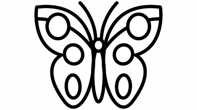 butterfly animal video motion icon background, representative fly animal from insect as nature animal and beautiful insect.