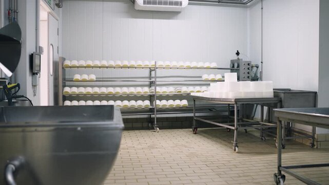 Modern cheese factory with fresh cheese heads maturing on shelves. Cleanliness and order in a dairy plant for gourmet product making
