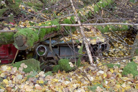 Abandoned car wreck overgrown in autumn forest