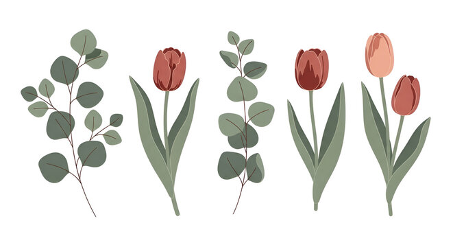 Minimalist botanical vector set featuring elegant red tulips and organic eucalyptus leaves for nature-inspired floral design
