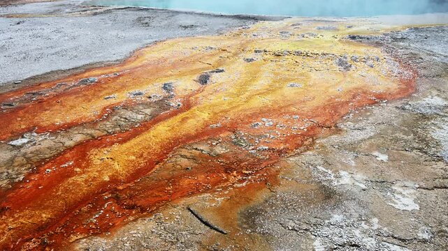Vibrant orange Thermophiles flowing out of Black Pool hot springs into Yellowstone Lake, West Thumb Geyser Basin, summer vacation at Yellowstone National Park
