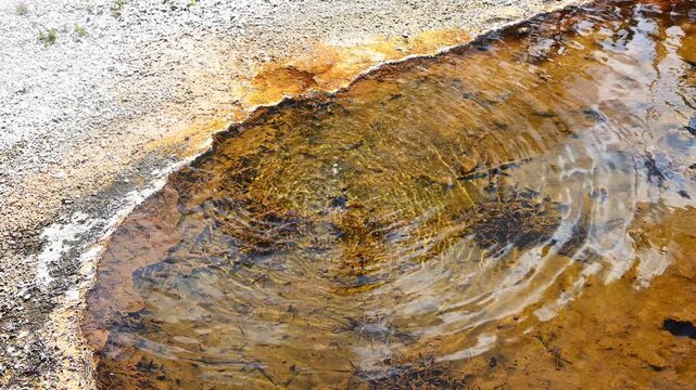 Early morning walk viewing geothermal features and hot springs in Old Faithful area of Upper Geyser Basin, summer vacation exploring Yellowstone National Park
