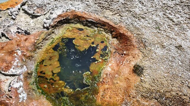 Early morning walk viewing geothermal features and hot springs in Old Faithful area of Upper Geyser Basin, summer vacation exploring Yellowstone National Park
