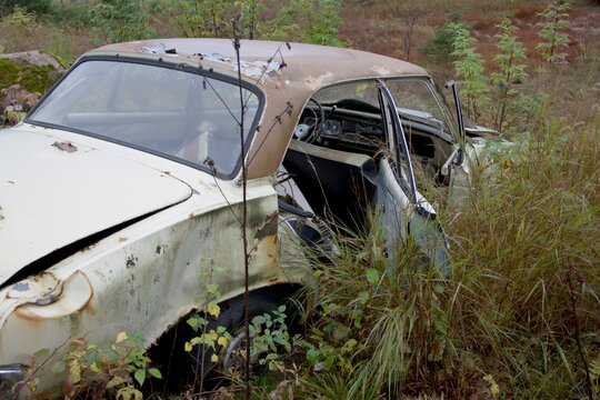 Abandoned vintage car overgrown by vegetation