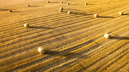 Aerial view of hay sheaves scattered across a Polish field. © shaiith