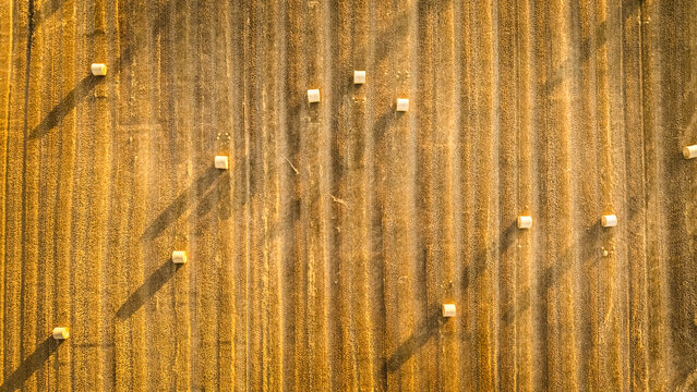 Harvested field with hay sheaves seen from above in Poland.