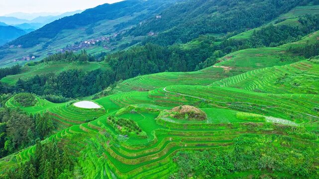 Aerial view of scenic green terraced rice fields and misty hills in Longji Rice Terraces, Guilin, Guangxi Province, China