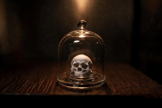Human skull displayed beneath a glass cloche on a dark wooden table, dramatic candlelit gothic still life and memento mori concept, generative AI