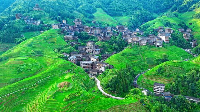 Aerial view of traditional mountain village nestled among green rice terraces in Longji Rice Terraces, Guilin, Guangxi Province, China