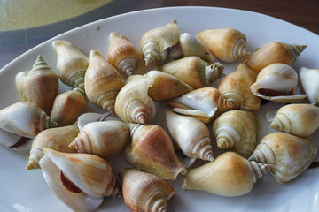 Gonggong snail, an iconic seafood dish from the Riau Islands made from the *Laevistrombus canarium* sea snail. © and