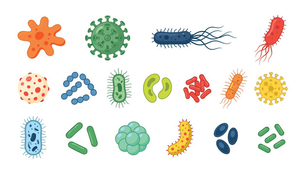 Collection of colorful bacteria virus cells micro organisms and pathogens set in flat cartoon style isolated vector