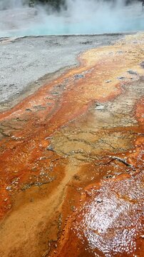 Vibrant orange Thermophiles flowing out of Black Pool hot springs into Yellowstone Lake, West Thumb Geyser Basin, summer vacation at Yellowstone National Park
